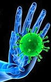 International Conference on  Cell Biology and Genomics